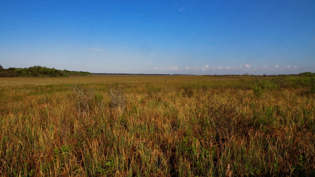 02 - Everglade NP (72).jpg